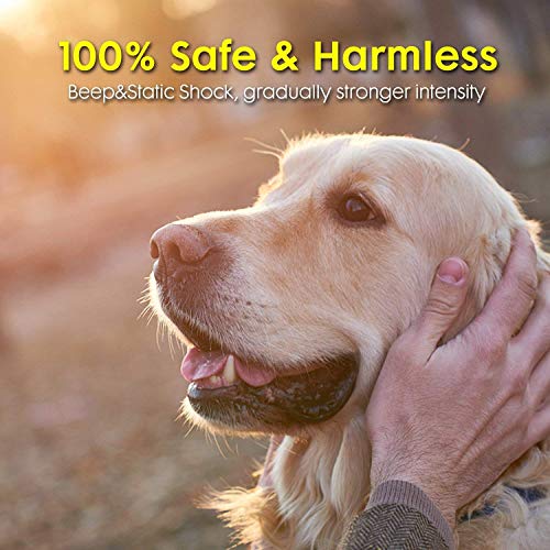 Wireless Electric Dog Fence Pet Containment System, Safe and Effective Anti Over Shock Design, Adjustable Control Range Up to 550YD & Display Distance, 1 Collar Receivers Rechargeable Waterproof - Thumbnail 3