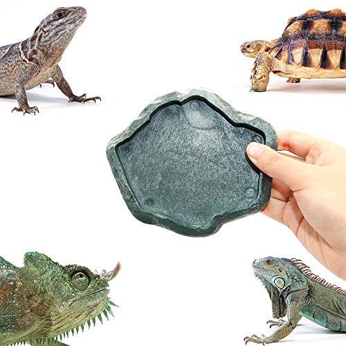 5 SLSON+Reptile+Terraium+Plastic+Feeding