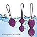 5 in 1 Kegel Balls for Women Tightening & Beginners,Set of 5 Ben Wa Balls Kegel Exercise Weights Products- Doctor Recommended for Bladder Control & Pelvic Floor Advanced Exercises(Purple)