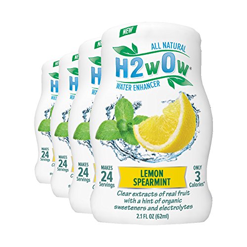H2wOw Water Enhancer DropsLemon Spearmint Flavored Water 4 pack Pricepulse