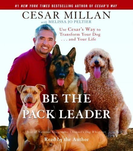 Be the Pack Leader: Use Cesar's Way to Transform Your Dog . . . and Your Life [Abridged 4-CD Set] (AUDIO CD/AUDIO BOOK)