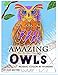 Amazing Owls Mosaic Color by Number: Adult Coloring Book For Stress Relief and Relaxation (Fun Adult Color By Number Coloring) by 