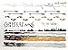 Modern Boho 5 Sheets Metallic Tattoos, Gold/Silver Flash, Wanderlust Collection