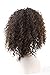 Futuretrend Kinky Curly Afro Wig Cheep Female Wig Brown Kinky Curly Short Wigs for Black Women Heat Resistant African Hair Wigs (brown)