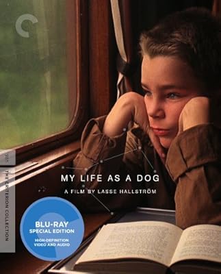 My Life as a Dog (The Criterion Collection) [Blu-ray]