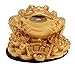 Feng Shui Fortune Oriental Chinese Wealth Coin Decor Gift for or Family