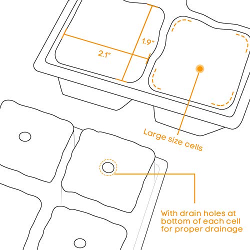 5 Seedling+MIXC+Propagator+Germination+Greenhouse
