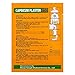 KONGDY 10 Counts Back Pain Relieving Patch Natural Herbal Hot Capsicum Plaster, 7x10CM