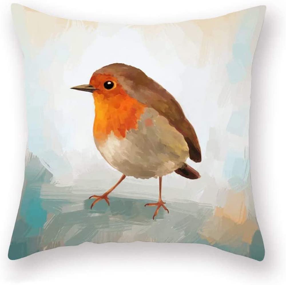 The Beach Stop Decorative Sweet Robin Redbreast Bird Scatter Cushion Cover | Living Room, Bedroom & Sofa Decor | 45x45cm 18x18” | Abstract Robin