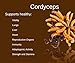 Swanson Premium Cordyceps 600 mg -- 2 Bottles each of 120 Capsules Made in USA