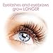Eyelash and Eyebrow Growth Serum Enhancer - Fuller, Longer, Sronger and Darker Eyelashes - Easy to Use and Clinically Proven (0.34 oz)