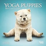 Yoga Puppies 2017 Small Wall Calendar