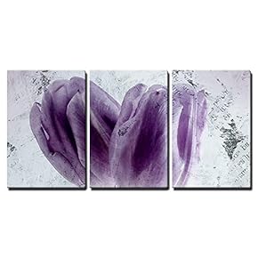3 Piece Canvas Wall Art - Canvas Wall Art - Two Purple Tulip Flower Petals - Modern Home Art Stretched and Framed Ready to Hang - 16"x24"x3 Panels