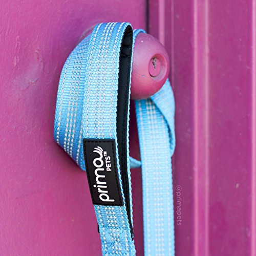 image for Prima Pets Reflective 4 Feet Nylon Dog Leash with Padded Double Handle