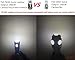 LUYED 10 X 240 Lumens Super Bright 5630 6-EX Chipsets Canbus W5W 194 168 2825 Led Bulbs,Xenon White