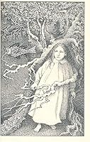 Hardcover edition cover