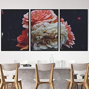 signwin 3 Piece Framed Canvas Wall Art Assorted...