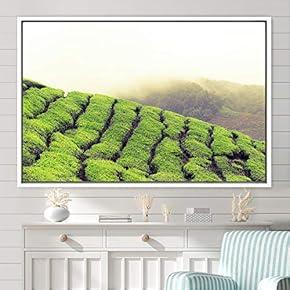 signwin Framed Canvas Wall Art Greenlands Aerial Dark...