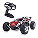 Distianert 1/24 Scale 2WD RC Car, Electric Racing Buggy(RTR) with High Speed of 15 killometer/h, 2.4GHz Radio Controlled Vehicle for Kids and Adults