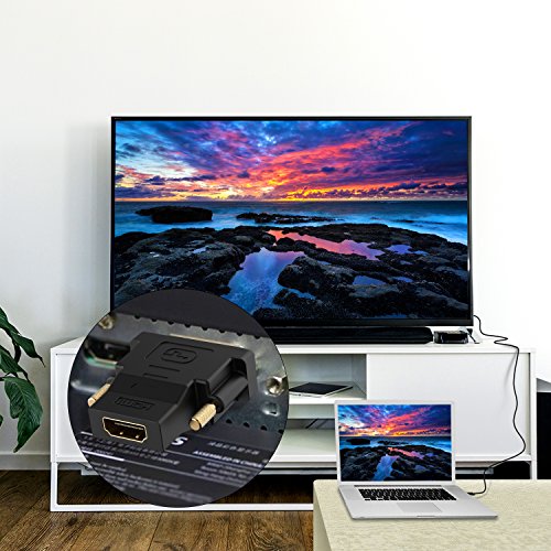 Rankie DVI to HDMI Adapter, Gold-Plated Converter, 2-Pack, Black