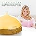 LINKYO Essential Oil Diffuser - Ultrasonic Aromatherapy Diffuser, 100ml