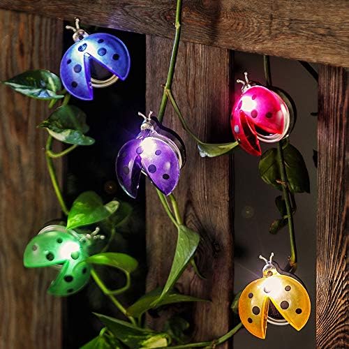 HAVEONE Solar Ladybug Lights Set of 5 Garden Backyard Lights Lawn