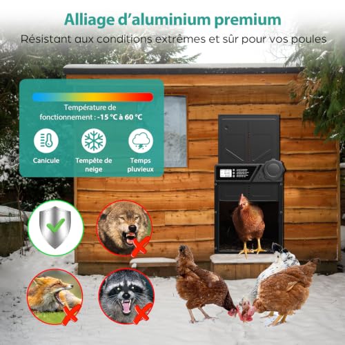 Porte Poulailler Automatique Grande à Piles en Aluminium | Minuterie, Fonction Anti-pincement, Écran LCD Étanche, Pour Poules, Canards