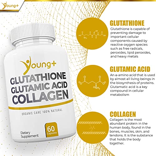 young glutathione glutamic acid collagen Glutathione Collagen & Glutamic Acid, Packaging Type: Bottle, For Skin  Whitening at ₹ 4400/bottle in Bhatkal