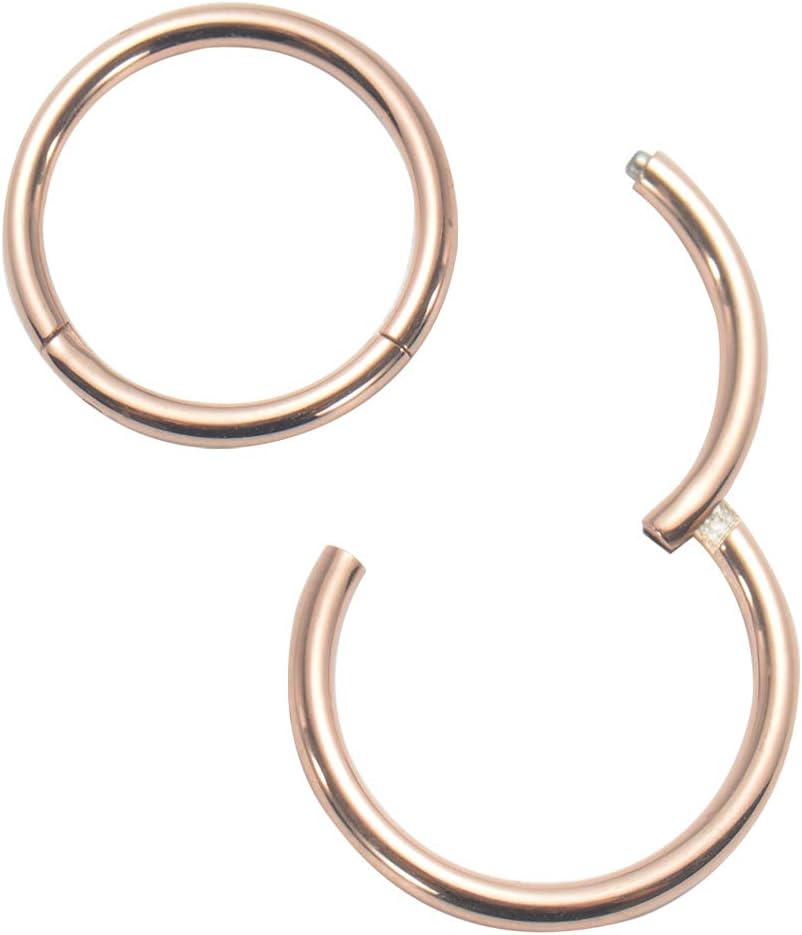 Nose Ring Septum Hoop 20G/18G/16G/14G/12G 316L Surgical Stainless Steel Hinged Seamless Earrings, Diameter 5MM-16MM, Gold/Silver/Black/Rose Gold/Rainbow Color
