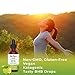 Vegan Liquid Keto goBHB Drops - No Pills Keto Diet by MaryRuth - Beta-Hydroxybutyrate Supplement - Vegan - Fat Burning - Promotes Weight Loss - Speed Up Ketosis - Lemon/Lime Flavor - Non-GMO - 2 oz