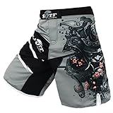 SOTF Men's Gray Sports Pants Tiger Muay Thai Boxing Shorts MMA Shorts (L)