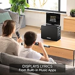 Professional Karaoke Machine with Lyrics Display