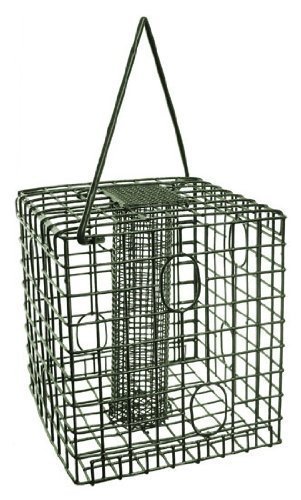 Squirrel Resistant Cage Nut Feeder For Wild Birds Cf2178 Amazon