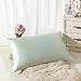 ALASKA BEAR Natural Silk Pillowcase, Queen (1pc, Mint Green)