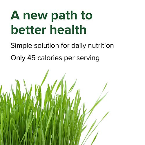 Green Vibrance Superfood Powder - Image 4