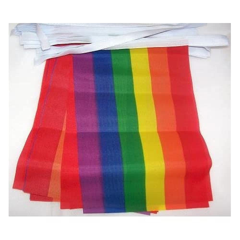 AZ FLAG Rainbow Bunting Flag, 20 Ft Garland with 20 Small Gay pride Flags 8'' x 6'', 100% Polyester String Pennant, 6 meters