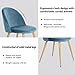 GreenForest Dining Chairs Set of 2, Mid Century Modern Kitchen Chairs Velvet Upholstered Accent Leisure Chairs for Living Room, Blue