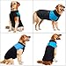 Didog Cold Weather Dog Warm Vest Jacket Coat,Pet Winter Clothes for Small Medium Large Dogs(Chest 25 Inch; Back Length 20 Inch, Blue)