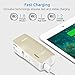 PISEN 2-in-1 Portable Charger - Battery Pack with Foldable AC Plug - 5000mAh Power Bank for iPhone, iPad, Android, Tablets, Samsung Galaxy and More (Gold)
