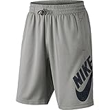 Nike Mens SB DRI-FIT Sunday Shorts