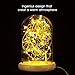 Erosom Glass Dome Lamp Bell Jar Display Dome Bamboo Base String USB LED Bedside Table Lamp with LED Warm Fairy Starry String Lights Ideal for Decoration Anywhere.(Warm White)