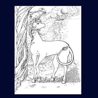 Livro Unicornios Felizes : Para colorir