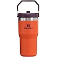 Stanley IceFlow Flip Straw Tumbler with Handle 20 oz | Twist On Lid and Flip Up Straw | Leak Resistant Water Bottle | Insulated Stainless Steel |BPA-Free | Tigerlily Plum