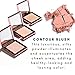 Christie Brinkley Authentic Beauty Cheek Chic Color and Contour Powder Blush, 0.3 oz (Posh)