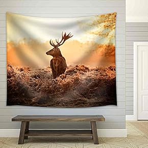 Red Deer in Morning Sun - Fabric Wall Tapestry Home Decor - 51x60 inches