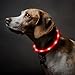 BSEEN Led Dog Collar USB Rechargeable Glowing Pet Safety Collars Water Resistant Light up Cut to resize to fit 11
