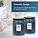 Dynamic Collections Aromatherapy Scented Candles - Great for Minimalistic Home Decor, Stress Relief, and Gift Set of Two 16 Ounce Mason Jar Candles (Serenity)