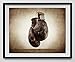 Vintage Boxing Gloves on Vintage Background Fine Art Photography Print, Sports Decor, Boxing decor, Man Cave art, Vintage Sports Nursery Art,Boxing Gloves, Nursery decor, Kids Room Wall Art.