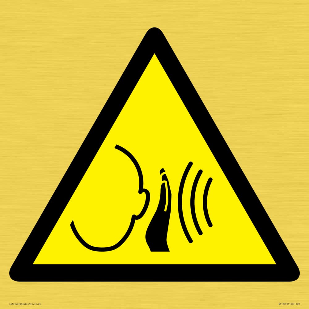 W038 Warning: Sudden loud noise Sign - 300x300mm - S30