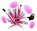 SHANY Pro Vegan Mineral Brush Set with Pink Clutch